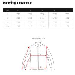 Vyriška pilka striukė Route