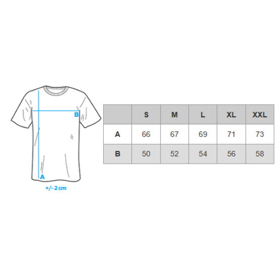 Vyriški baltos spalvos polo marškinėliai Swing V4 OM-POSS-0117 - Akcija Vyriški baltos spalvos polo marškinėliai Swing Marškinėliai