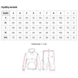 Vyriškas rusvos spalvos sportinio kostiumo komplektas Icon