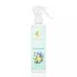 Car and Home Fragrance No. 148 - BLUE CLOUD 150 ML