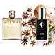 Nr309 kvepalai įkvėpti Chanel - Allure 2 ml