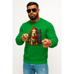 Vihreä huppari joulu koira