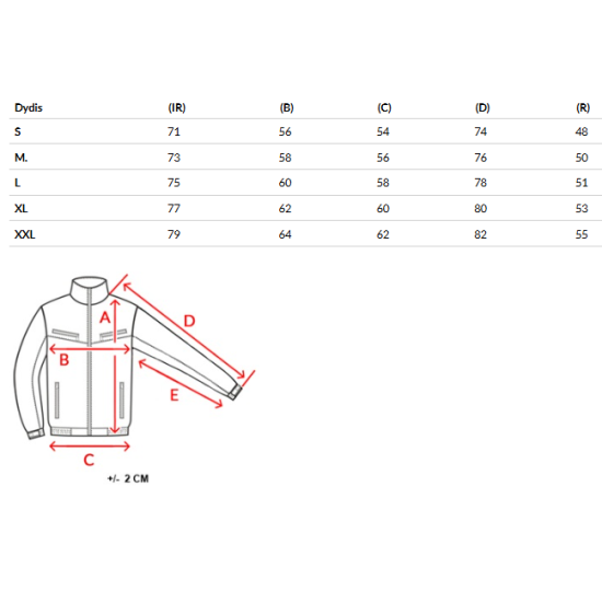 Vyriška balta žieminė striukė Ross