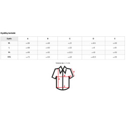 Vyriški juodi polo marškinėliai Skull