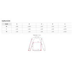 Vyriškas tamsiai pilkas džemperis Ostin