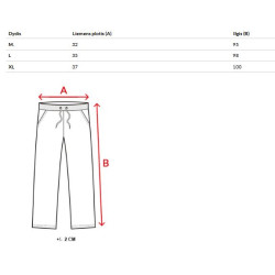 Vyriškos pilkos laisvalaikio kelnės Anton