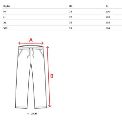 Vyriškos tamsiai pilkos laisvalaikio kelnės Rebel