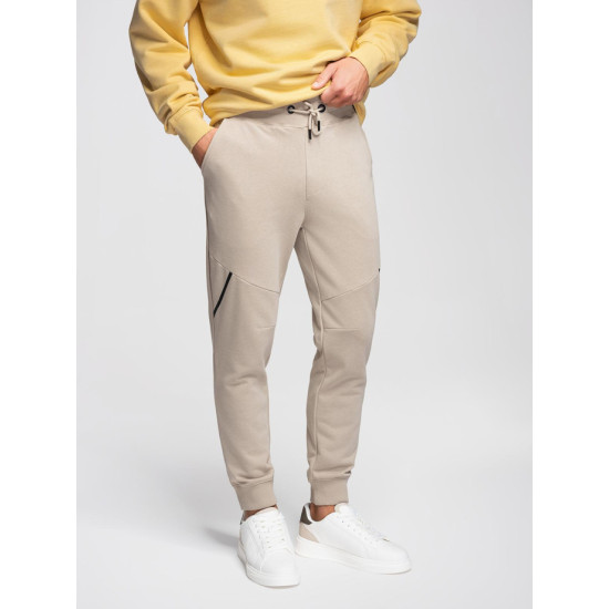 Men's brown trousers Braint Casual trousers