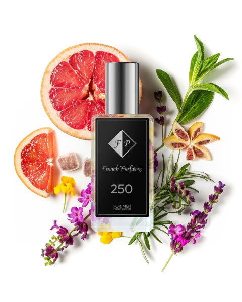 Nr250 kvepalai įkvėpti Paco Rabanne – Invictus Platinum 104 ml