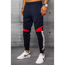 Vyriškos tamsiai mėlynos laisvalaikio kelnės Anton