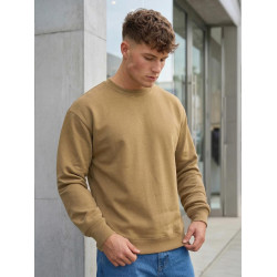 Men's brown hooded jumper Steel
