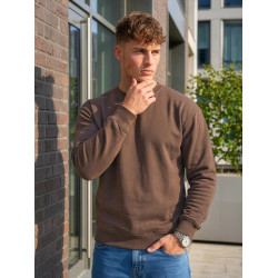 Men's dark brown hooded jumper Steel