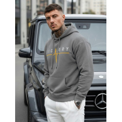 Vyriškas pilkas džemperis Victory