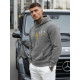 Vyriškas pilkas džemperis Victory