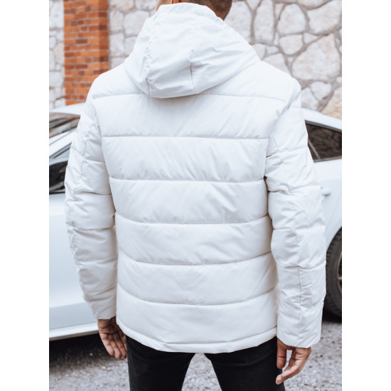 Vyriška balta žieminė striukė Ross