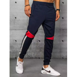 Vyriškos tamsiai mėlynos laisvalaikio kelnės Anton