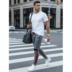 Vyriškos pilkos laisvalaikio kelnės Edma