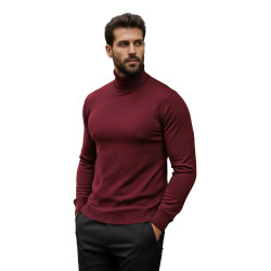 Vyriškas bordo megztinis aukštu kaklu Lenox