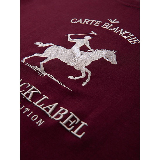 Męski sweter w kolorze bordowym marki Carte