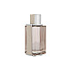 Salvatore Ferragamo Ferragamo Bright Leather Edt 100ml Tualetinis vanduo (EDT) Salvatore Ferragamo