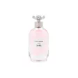 Testeris Coach Dreams Edp 90 ml