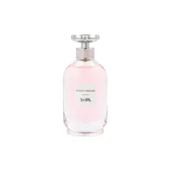 Testeris Coach Dreams Edp 90 ml