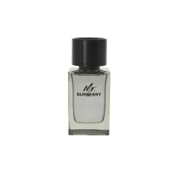 Burberry Mr. Burberry Edt 100ml