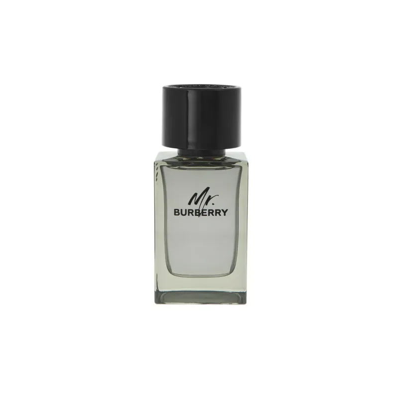 Burberry Mr. Burberry Edt 100ml Tualetinis vanduo (EDT) Burberry