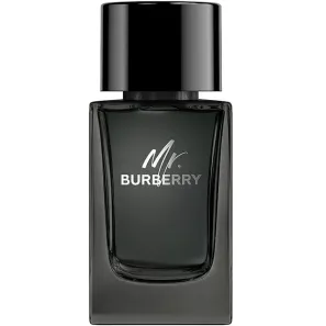 Burberry Mr. Burberry Edp 100ml