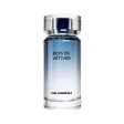 Karl Lagerfeld Bois De Vetiver Edt 100 мл