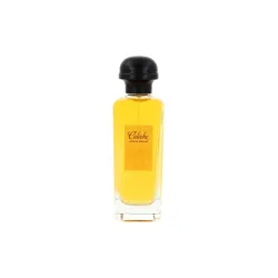 Testeris Hermes Caleche Soie De Parfum Edp 100 ml