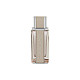 Salvatore Ferragamo Ferragamo Bright Leather Edt 100ml Tualetinis vanduo (EDT) Salvatore Ferragamo
