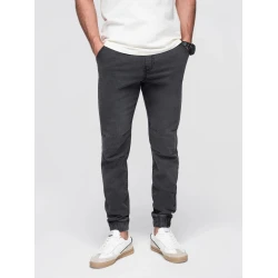 Vyriškos pilkos spalvos kelnės Cosmi