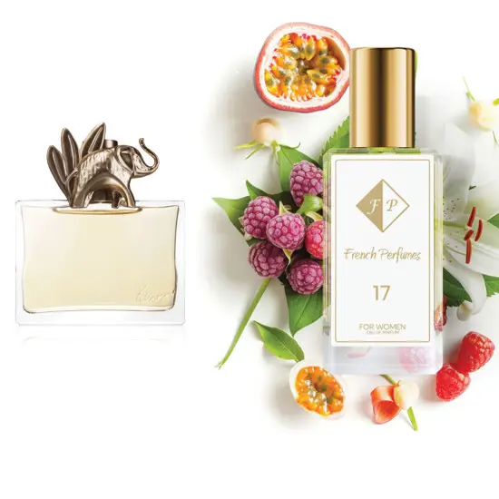 Nr. 17 kvepalai įkvėpti Kenzo - Jungle Elephant 104 ml