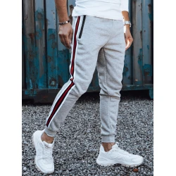 Vyriškos šviesiai pilkos laisvalaikio kelnės Adam