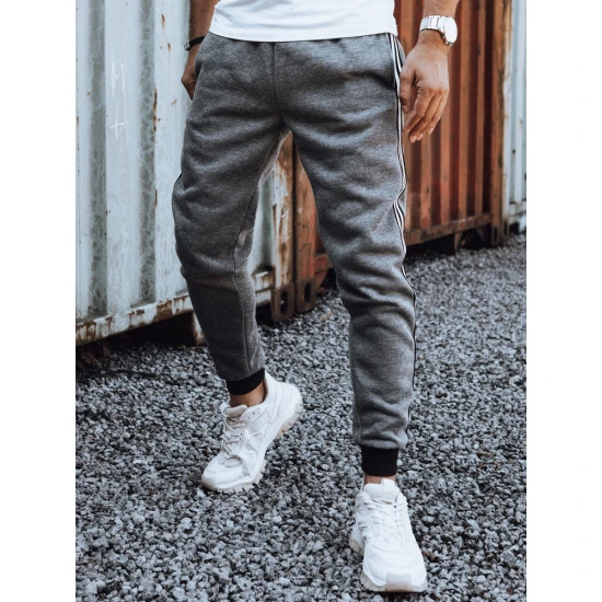 Vyriškos tamsiai pilkos laisvalaikio kelnės Harin UX4423