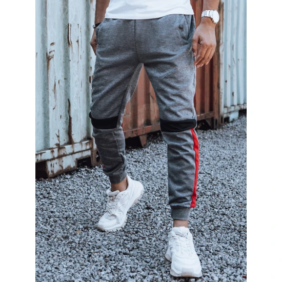 Vyriškos pilkos laisvalaikio kelnės Edma UX4449