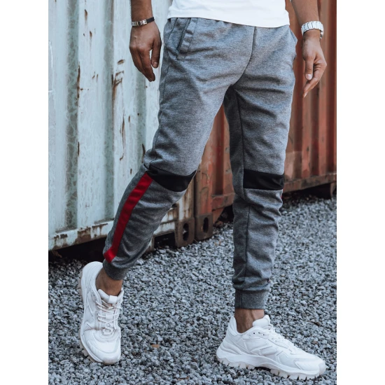 Vyriškos pilkos laisvalaikio kelnės Edma UX4449