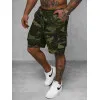 Vyriški žali kamufliažiniai šortai  Army JS/8K282/29