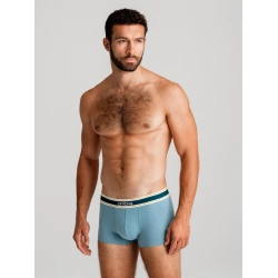 Vyriškų apatinių rinkinys Ovin