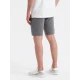 Vyriški pilkos spalvos šortai Sport Šortai | Bridžai