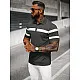 Men's polo shirt Orland NB/MT3108