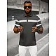 Men's polo shirt Orland NB/MT3108