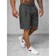 Vyriški pilki sportiniai šortai Angus JS/12K1803/5