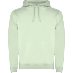 Mėtinis džemperis su gobtuvu Urban