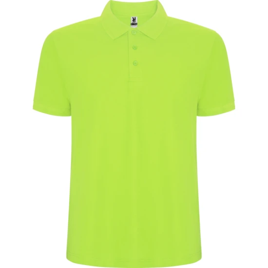 Vyriški salotiniai polo marškinėliai Pegaso Marškinėliai | Polo Roly