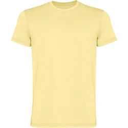 Vyriški geltonos spalvos marškinėliai Corgi