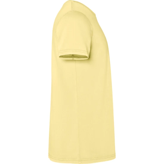 Vyriški geltonos spalvos marškinėliai Corgi Marškinėliai | Polo Roly