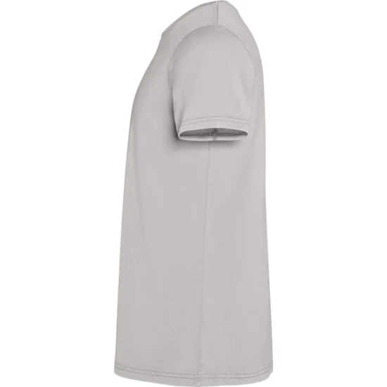 Vyriški pilkos spalvos marškinėliai Corgi Marškinėliai | Polo Roly