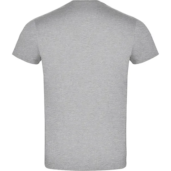 Men's grey Atomic T-shirt T-shirt | Polo Roly